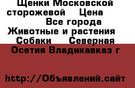 Щенки Московской сторожевой  › Цена ­ 25 000 - Все города Животные и растения » Собаки   . Северная Осетия,Владикавказ г.